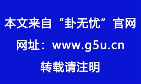 1982年是什么年|1982年属什么